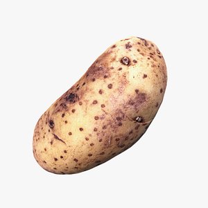 potato scan 3d max