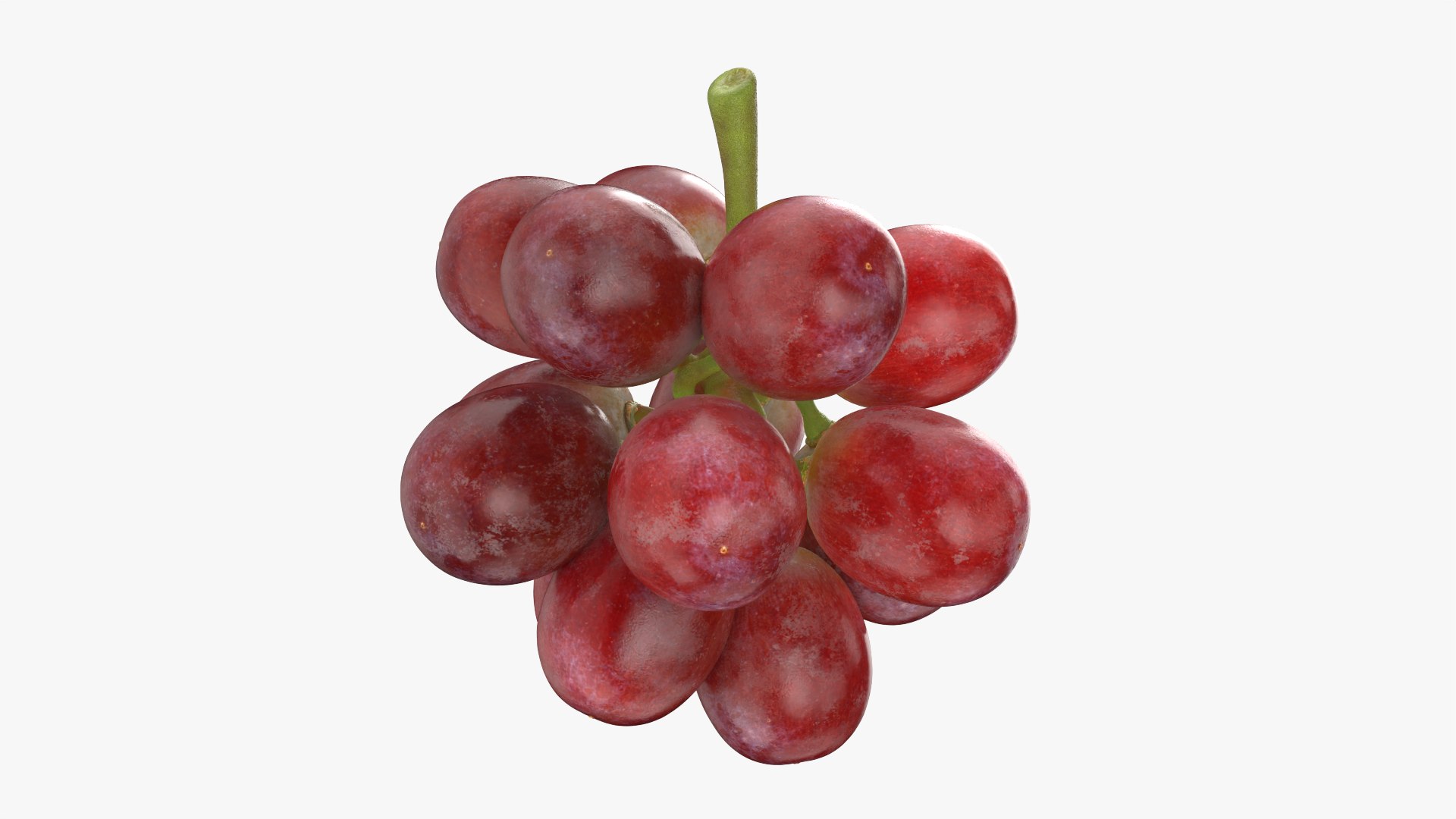 Bunch Grapes 05 3D model https://p.turbosquid.com/ts-thumb/jk/xX08QP/10/grapes_0002/png/1756706403/1920x1080/fit_q87/4b5cb3d76ec45a4fea1a72a01758c493d5a8a0e7/grapes_0002.jpg