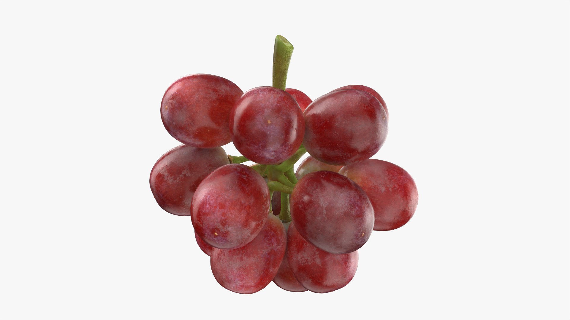 Bunch Grapes 05 3D model https://p.turbosquid.com/ts-thumb/jk/xX08QP/3B/grapes_0004/png/1756706405/1920x1080/fit_q87/988422e4ba5dfaacc165f19e8ad5cecead9503cc/grapes_0004.jpg
