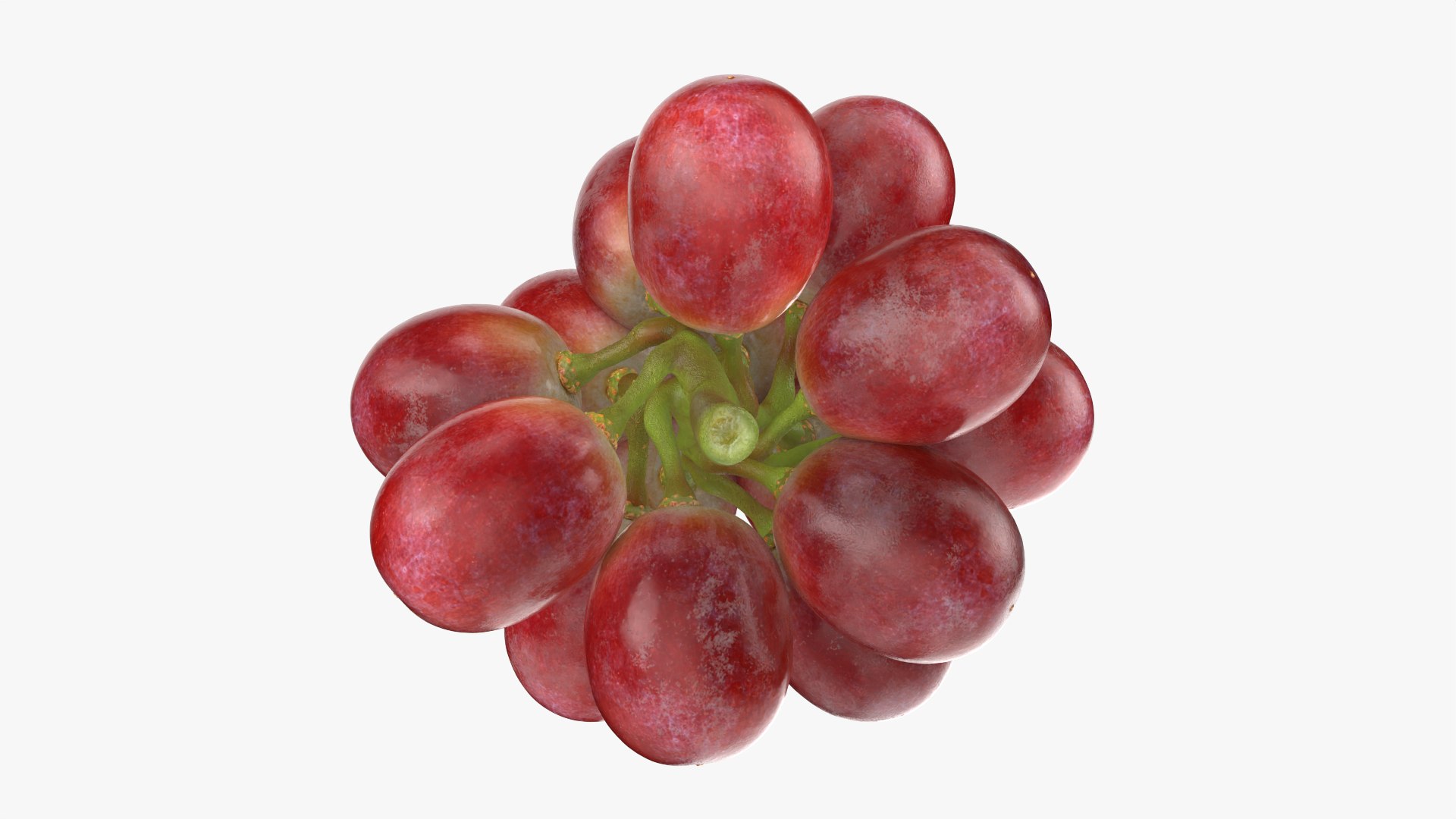 Bunch Grapes 05 3D model https://p.turbosquid.com/ts-thumb/jk/xX08QP/3E/grapes_0009/png/1756706416/1920x1080/fit_q87/02ad459e4293836b4931c9f8a0fb07dccf1ee526/grapes_0009.jpg