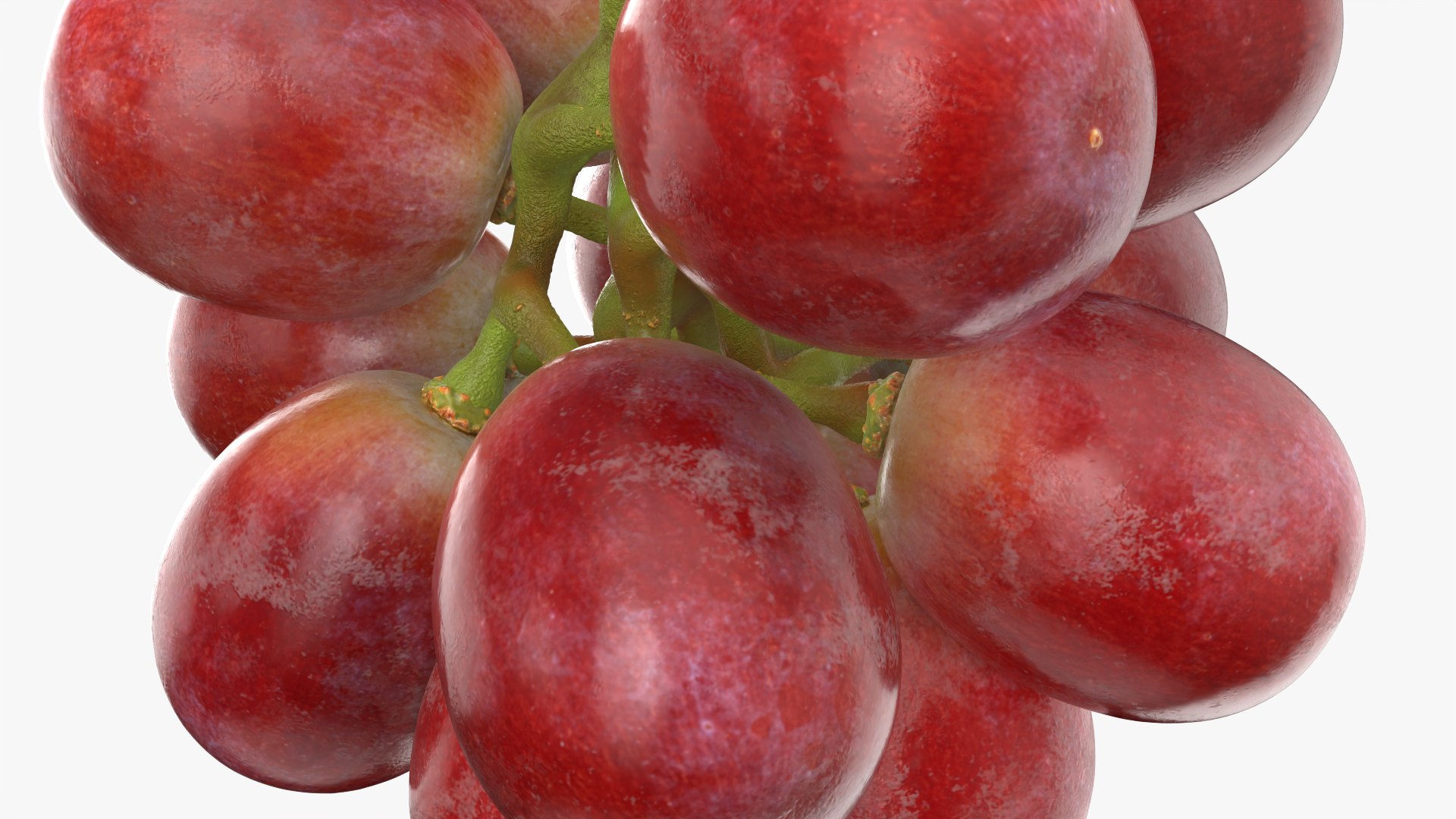 Bunch Grapes 05 3D model https://p.turbosquid.com/ts-thumb/jk/xX08QP/3R/grapes_0012/png/1756706423/1920x1080/fit_q87/96e5ab5aaae63ef48ab8421c2f7193b561170948/grapes_0012.jpg