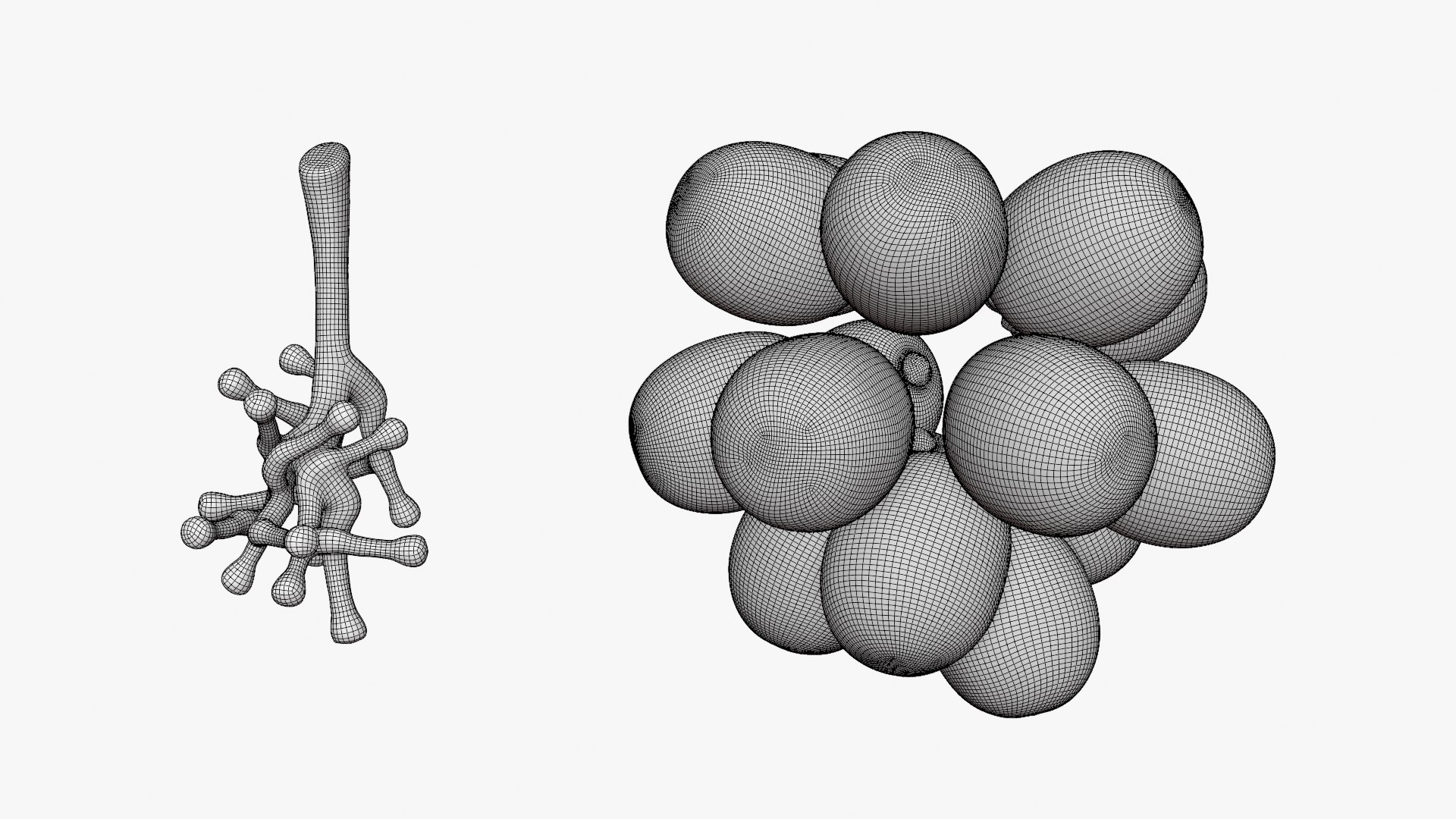 Bunch Grapes 05 3D model https://p.turbosquid.com/ts-thumb/jk/xX08QP/3i/grapes_d0013/png/1756706426/1920x1080/fit_q87/3989c449f903746fd0cb5ade1fab513d088825df/grapes_d0013.jpg