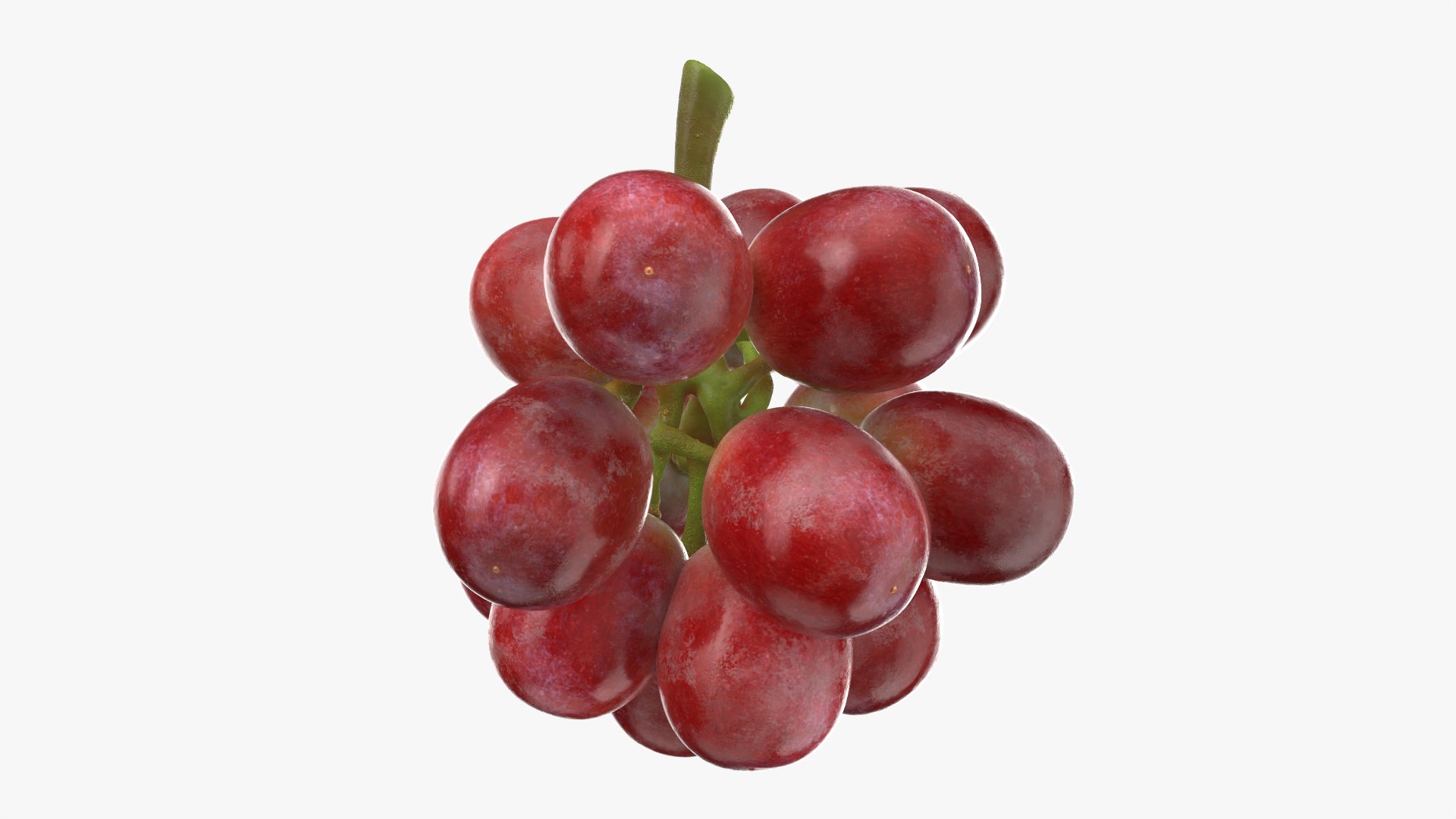 Bunch Grapes 05 3D model https://p.turbosquid.com/ts-thumb/jk/xX08QP/7h/grapes_0010/png/1756706418/1920x1080/fit_q87/e2ae84b14af954df46df0f48eb9af87481cbc1e1/grapes_0010.jpg
