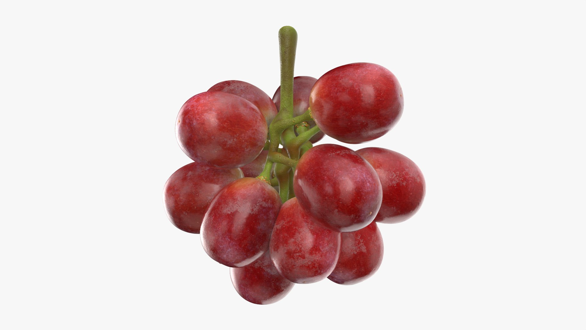 Bunch Grapes 05 3D model https://p.turbosquid.com/ts-thumb/jk/xX08QP/K1/grapes_0005/png/1756706407/1920x1080/fit_q87/3c869a3fe33a5734a90d10dabcea31776d0efb7a/grapes_0005.jpg