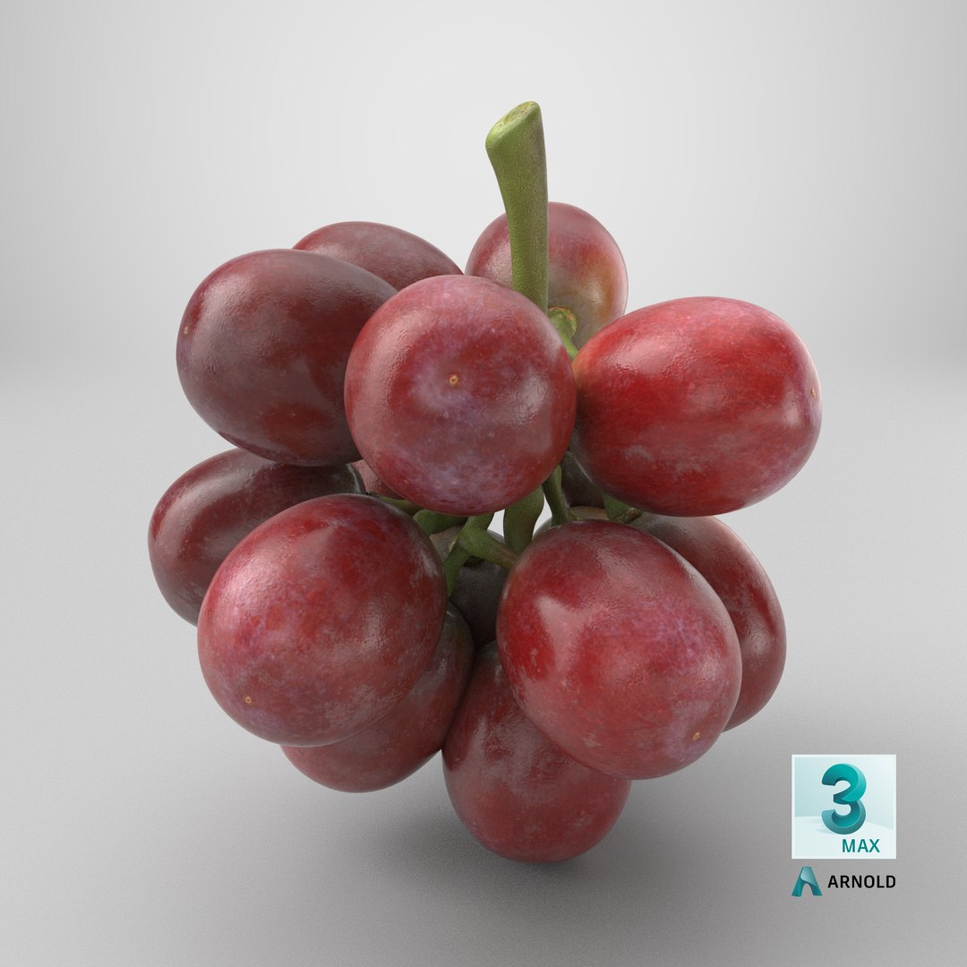 Bunch Grapes 05 3D model https://p.turbosquid.com/ts-thumb/jk/xX08QP/Nw/stemcell_max_arnold_render/png/1756774902/1920x1080/fit_q87/c7211485b601f3d8d94ff3a49ea160127ca878a2/stemcell_max_arnold_render.jpg