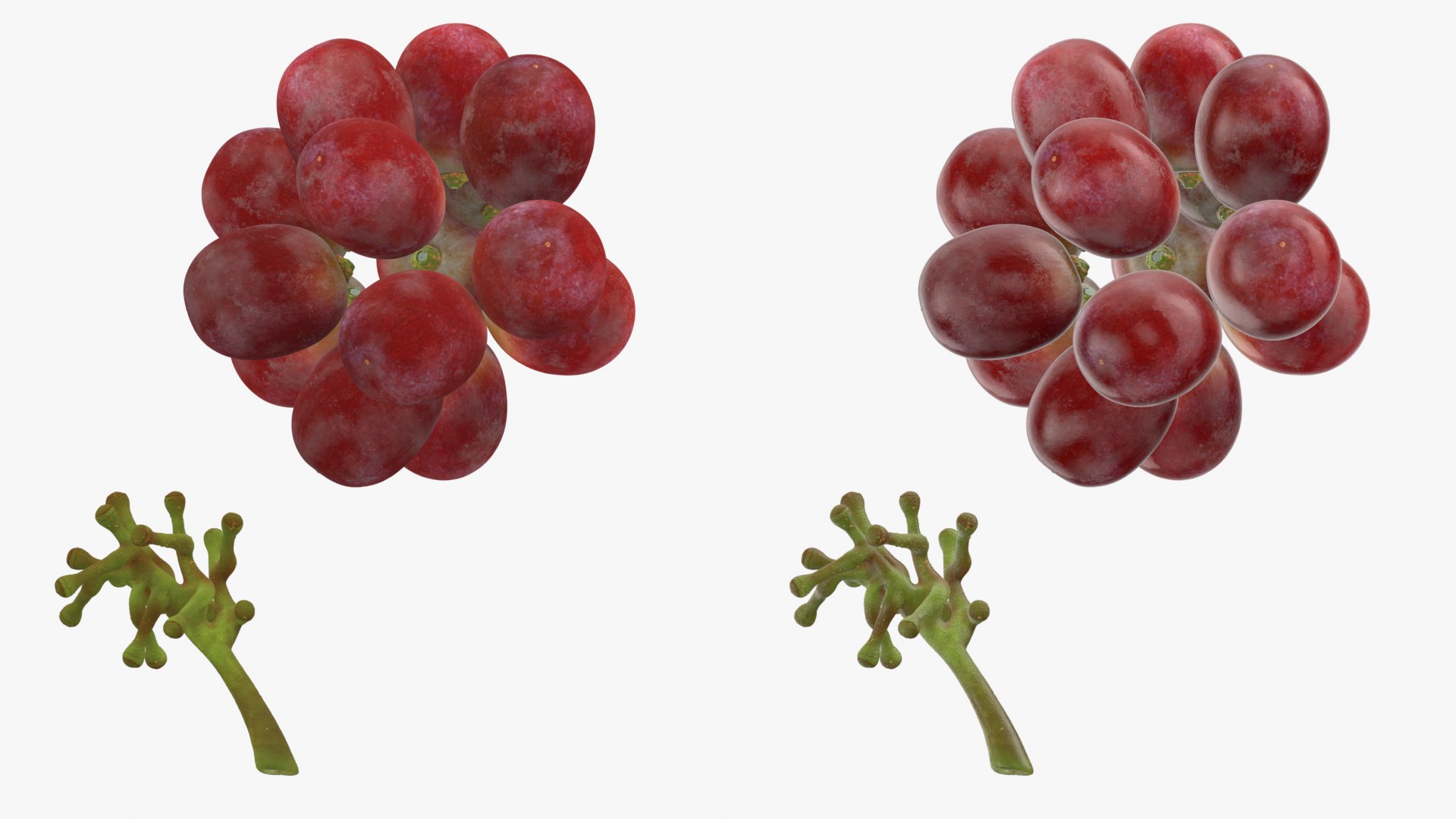 Bunch Grapes 05 3D model https://p.turbosquid.com/ts-thumb/jk/xX08QP/QL/grapes_0001c/png/1756706398/1920x1080/fit_q87/1fb405980009388b1fdbe736a57f90172e619787/grapes_0001c.jpg