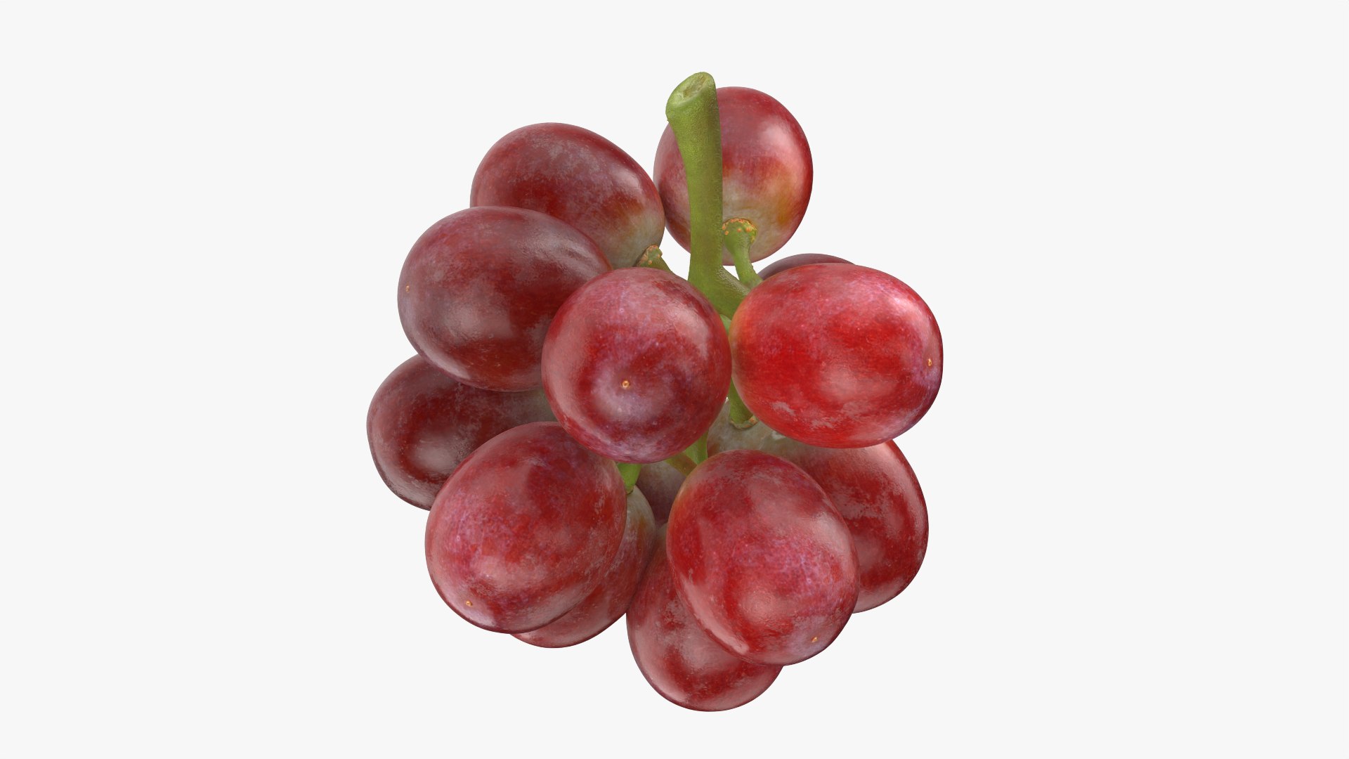 Bunch Grapes 05 3D model https://p.turbosquid.com/ts-thumb/jk/xX08QP/TP/grapes_0007/png/1756706412/1920x1080/fit_q87/48c2247de282c722dba9c16fba5d73d8acd653e4/grapes_0007.jpg