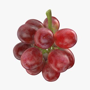 Bunch Grapes 05