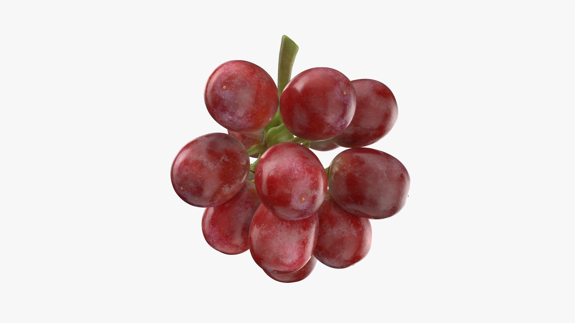 Bunch Grapes 05 3D model https://p.turbosquid.com/ts-thumb/jk/xX08QP/mr/nlgrapes/png/1756706325/1920x1080/turn_fit_q99/013aa51127a81a0144b0cb09f4adf828a827caff/nlgrapes-1.jpg