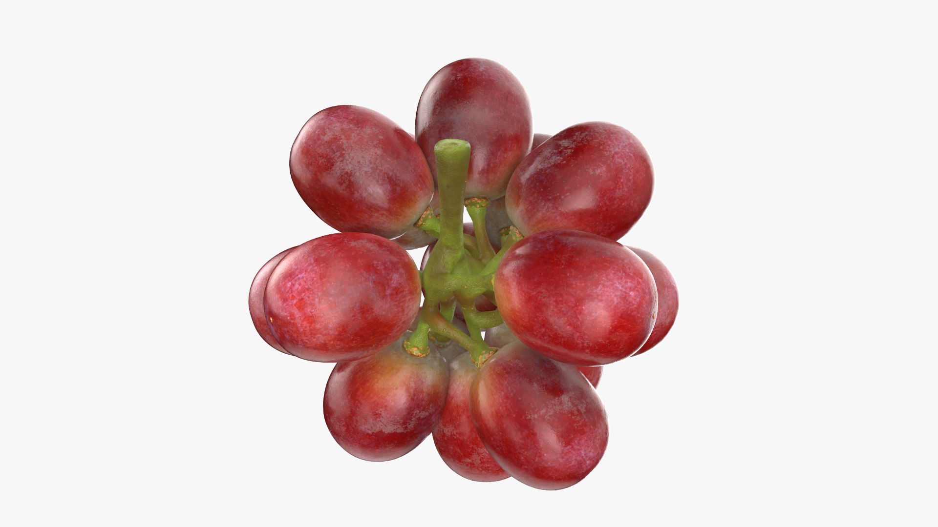 Bunch Grapes 05 3D model https://p.turbosquid.com/ts-thumb/jk/xX08QP/rH/grapes_0011/png/1756706418/1920x1080/fit_q87/85b384992666258fcb0aae63f2b81e0b77145327/grapes_0011.jpg
