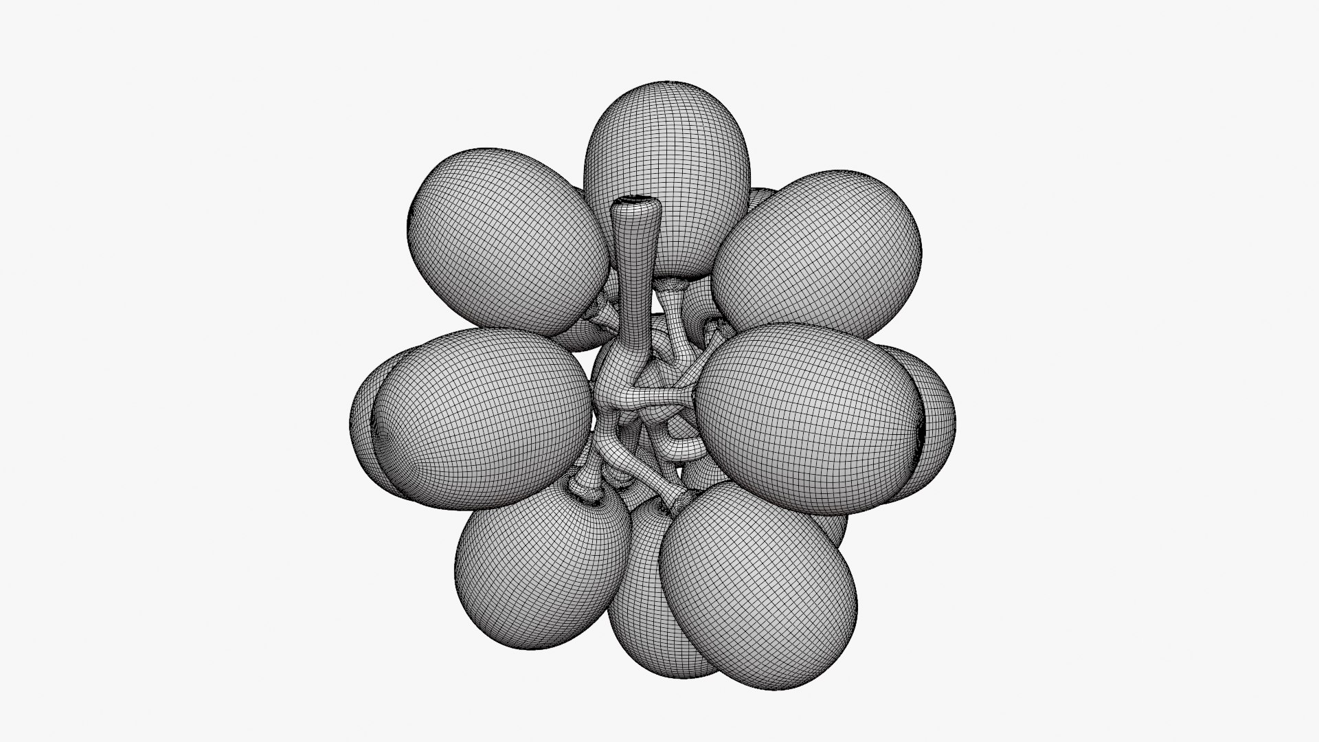 Bunch Grapes 05 3D model https://p.turbosquid.com/ts-thumb/jk/xX08QP/sQ/grapes_d0011/png/1756706423/1920x1080/fit_q87/3bb30eac59b53660f57b03ec52a25b8d3b300730/grapes_d0011.jpg