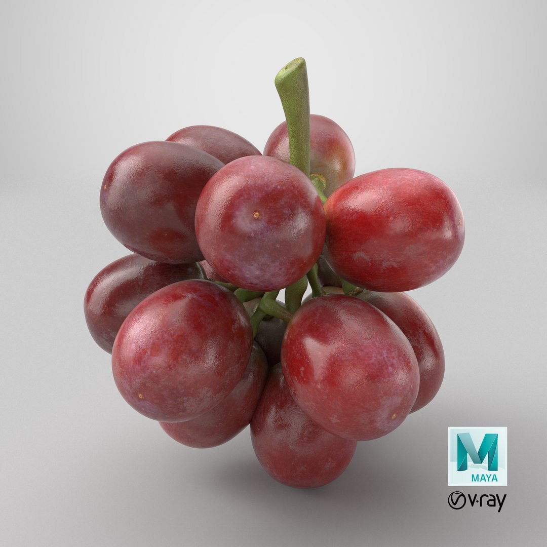 Bunch Grapes 05 3D model https://p.turbosquid.com/ts-thumb/jk/xX08QP/vF/stemcell_maya_vray_render/png/1756774894/1920x1080/fit_q87/55fd77bdadd5848b1e392926d0e506b025b92a24/stemcell_maya_vray_render.jpg