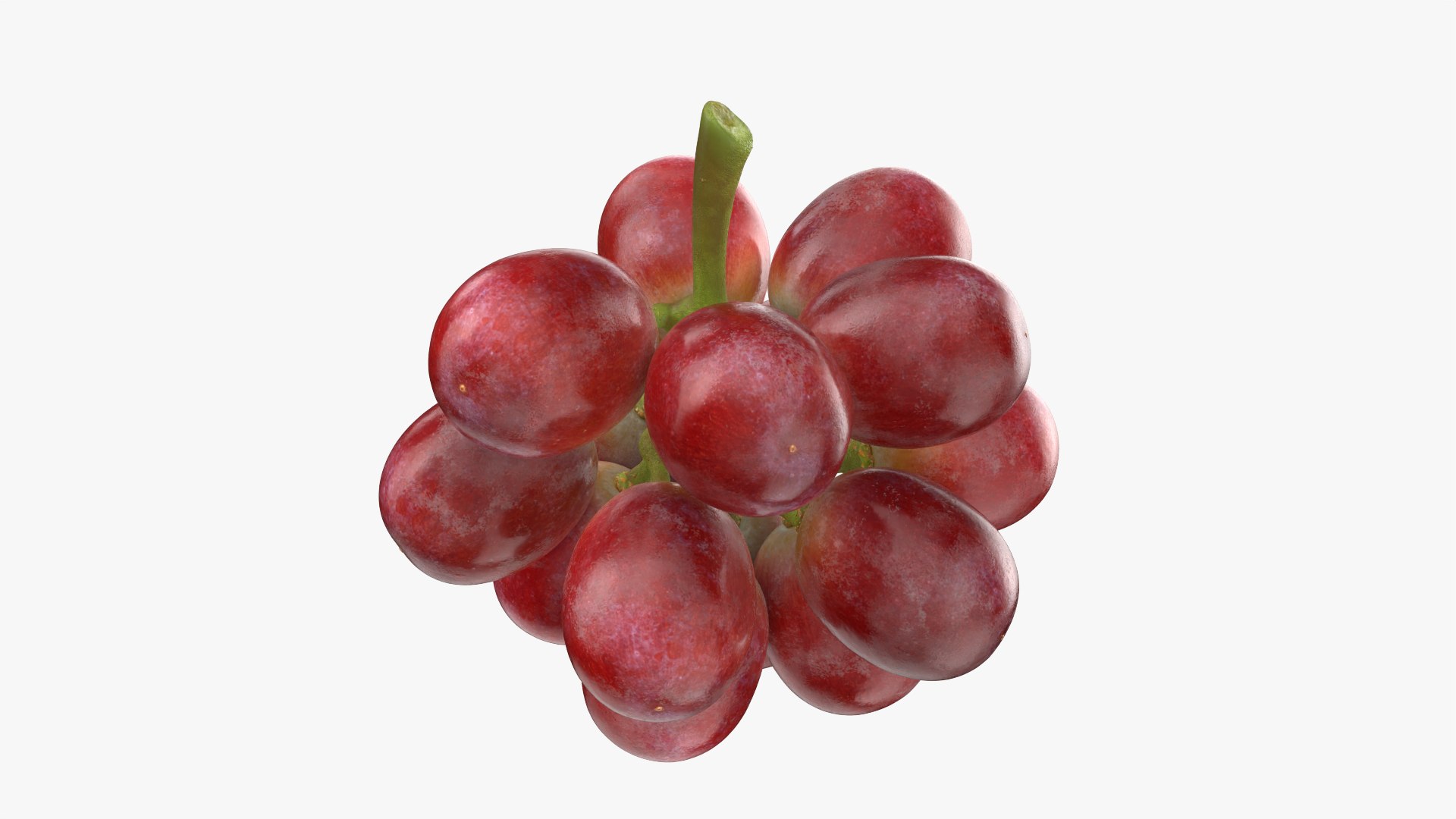 Bunch Grapes 05 3D model https://p.turbosquid.com/ts-thumb/jk/xX08QP/yP/grapes_0006/png/1756706412/1920x1080/fit_q87/5a31bf68ce9b5fe26ad0bec0cded88641c028aa0/grapes_0006.jpg