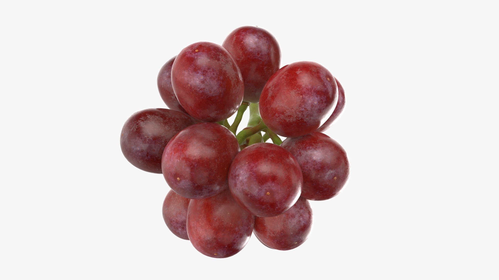 Bunch Grapes 05 3D model https://p.turbosquid.com/ts-thumb/jk/xX08QP/yx/grapes_0003/png/1756706404/1920x1080/fit_q87/dbf3abca4b5e765ac5006a41d4af098f9a7a2335/grapes_0003.jpg