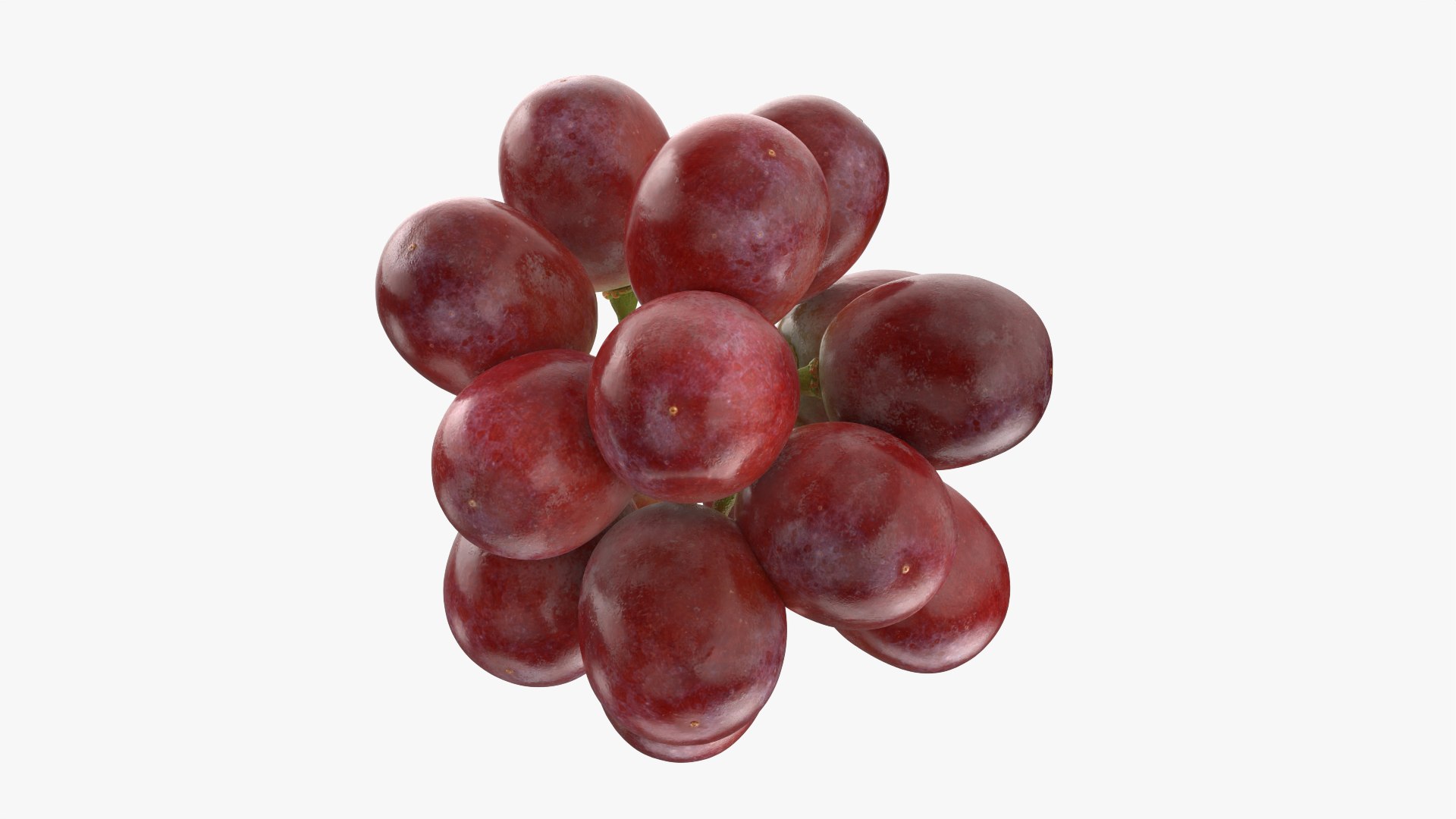Bunch Grapes 05 3D model https://p.turbosquid.com/ts-thumb/jk/xX08QP/zh/grapes_0008/png/1756706413/1920x1080/fit_q87/c8542ad25a44a989310f2ecac07ad56247020d03/grapes_0008.jpg