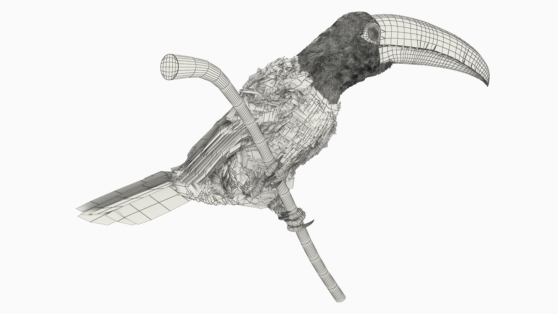 Toucan on Branch Fur for Cinema 4D 3D model https://p.turbosquid.com/ts-thumb/jk/ypIVQ8/Qv/toucan_on_branch_fur_011/jpg/1758001461/1920x1080/fit_q87/eb1333339a5579d4dd7e6d7c18d9336eac36de45/toucan_on_branch_fur_011.jpg