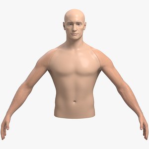 3D model Male Arms