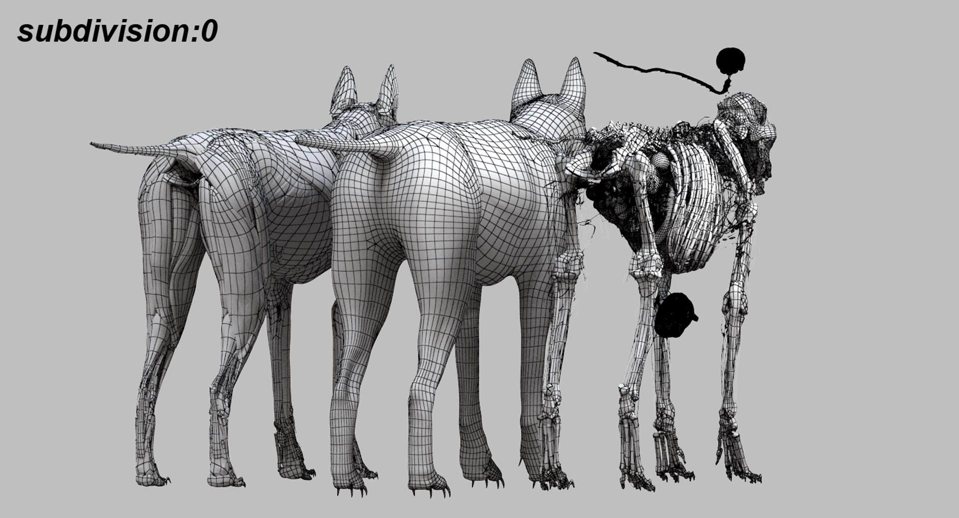 3D eye muscle skeleton https://p.turbosquid.com/ts-thumb/jl/gw1cpZ/ApcmZOQi/26/jpg/1549508102/1920x1080/fit_q87/93facc1ea58d0a18b0b6e6170fc9ae649cd7c19f/26.jpg