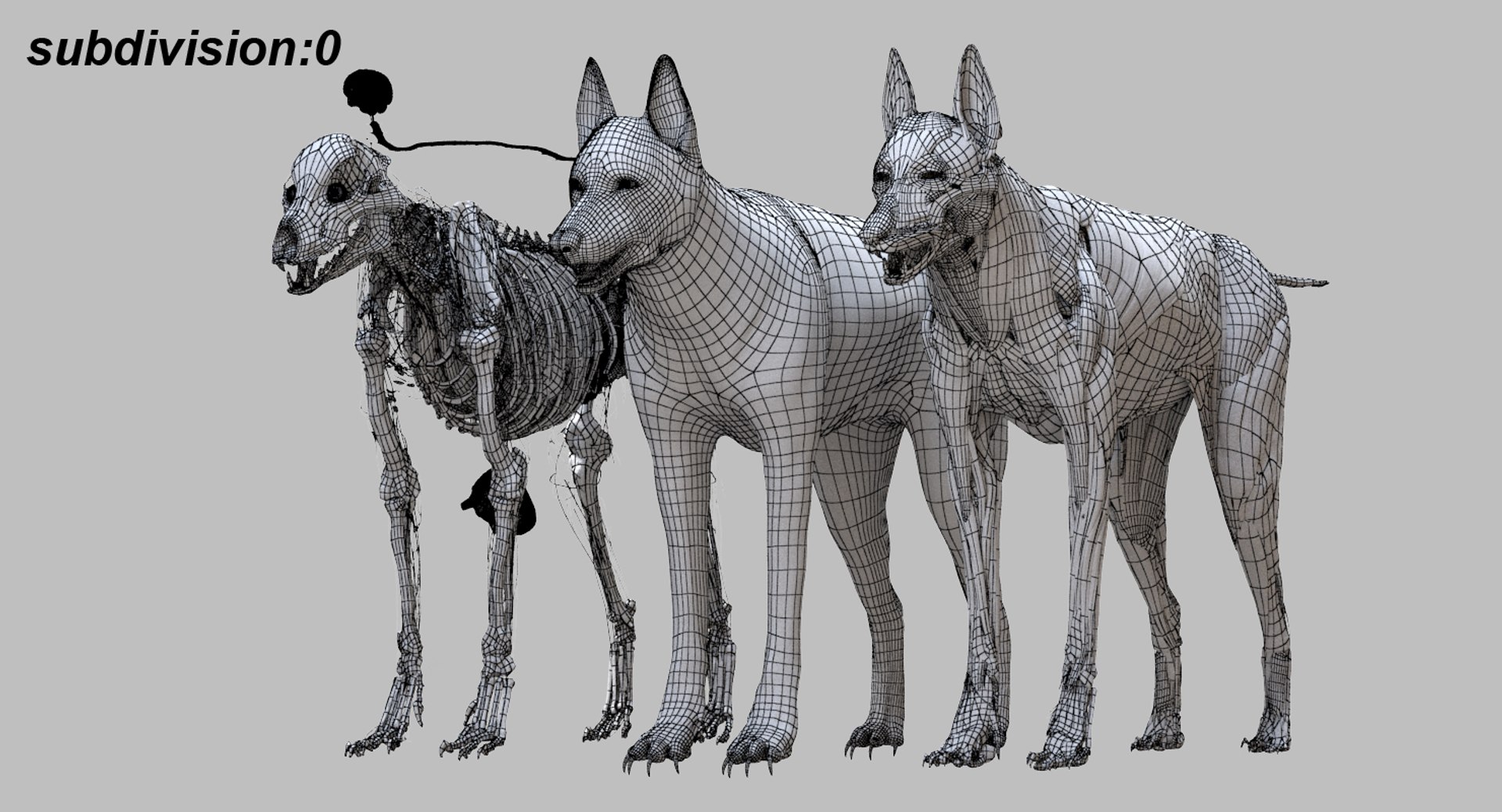 3D eye muscle skeleton https://p.turbosquid.com/ts-thumb/jl/gw1cpZ/Cdi80fk7/24/jpg/1549508102/1920x1080/fit_q87/55d1c29d60d73801281e4e793f2765bec066c76c/24.jpg
