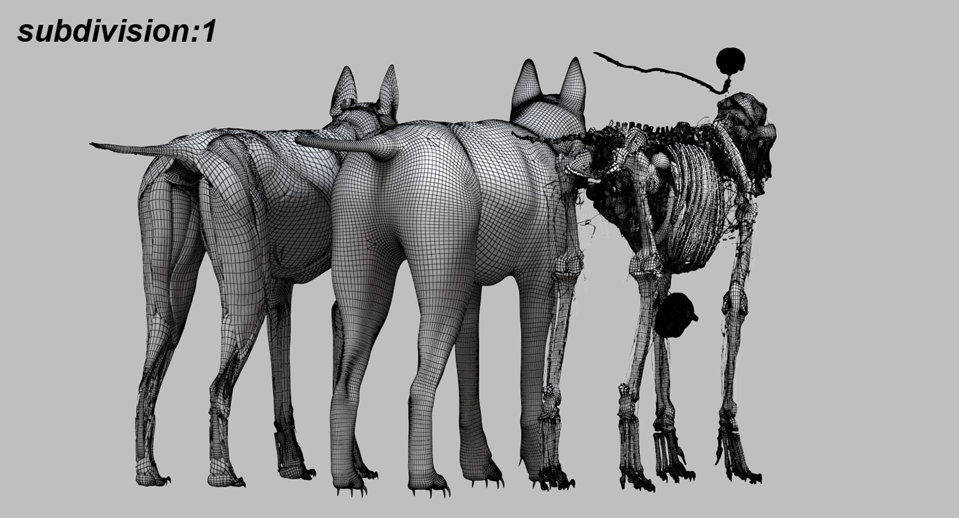 3D eye muscle skeleton https://p.turbosquid.com/ts-thumb/jl/gw1cpZ/wd9Z5PLZ/27/jpg/1549508102/1920x1080/fit_q87/0de975524b439350e8cebd3970c2f71e01956564/27.jpg