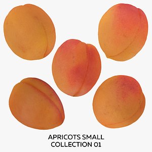 3D Apricots Small Collection 01 - 5 models RAW Scans
