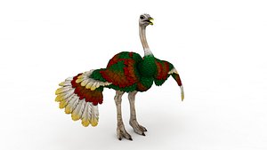 Ostrich 3D