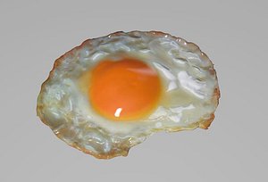 fried egg 3D model