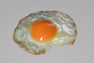 Realistic fried egg