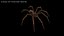 Tegenaria Domestica