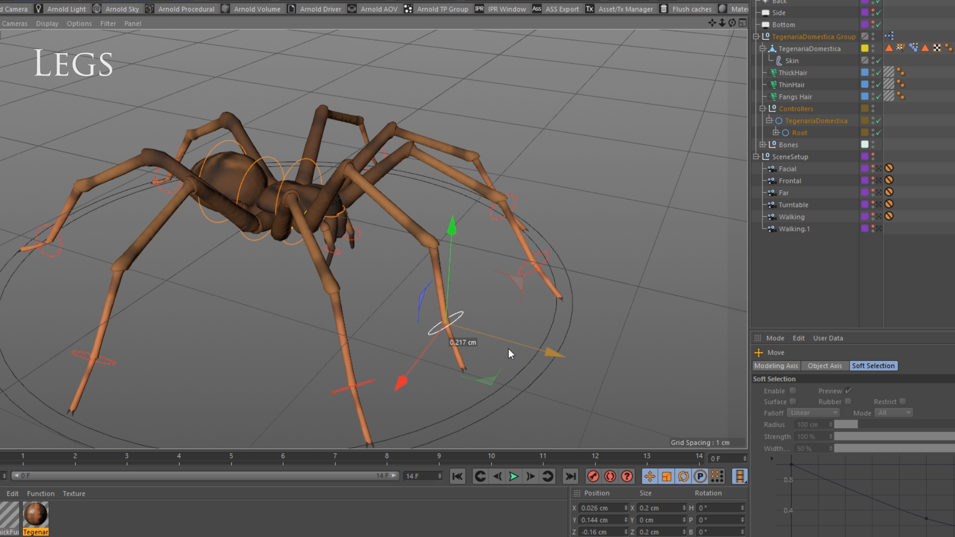 tegenaria domestica 3D model https://p.turbosquid.com/ts-thumb/jl/tkCn0n/GR6yWkLD/rig/png/1523113578/1920x1080/turn_fit_q99/86afb4363e390849cbc6bf8db5cb570b39301f3e/rig-1.jpg