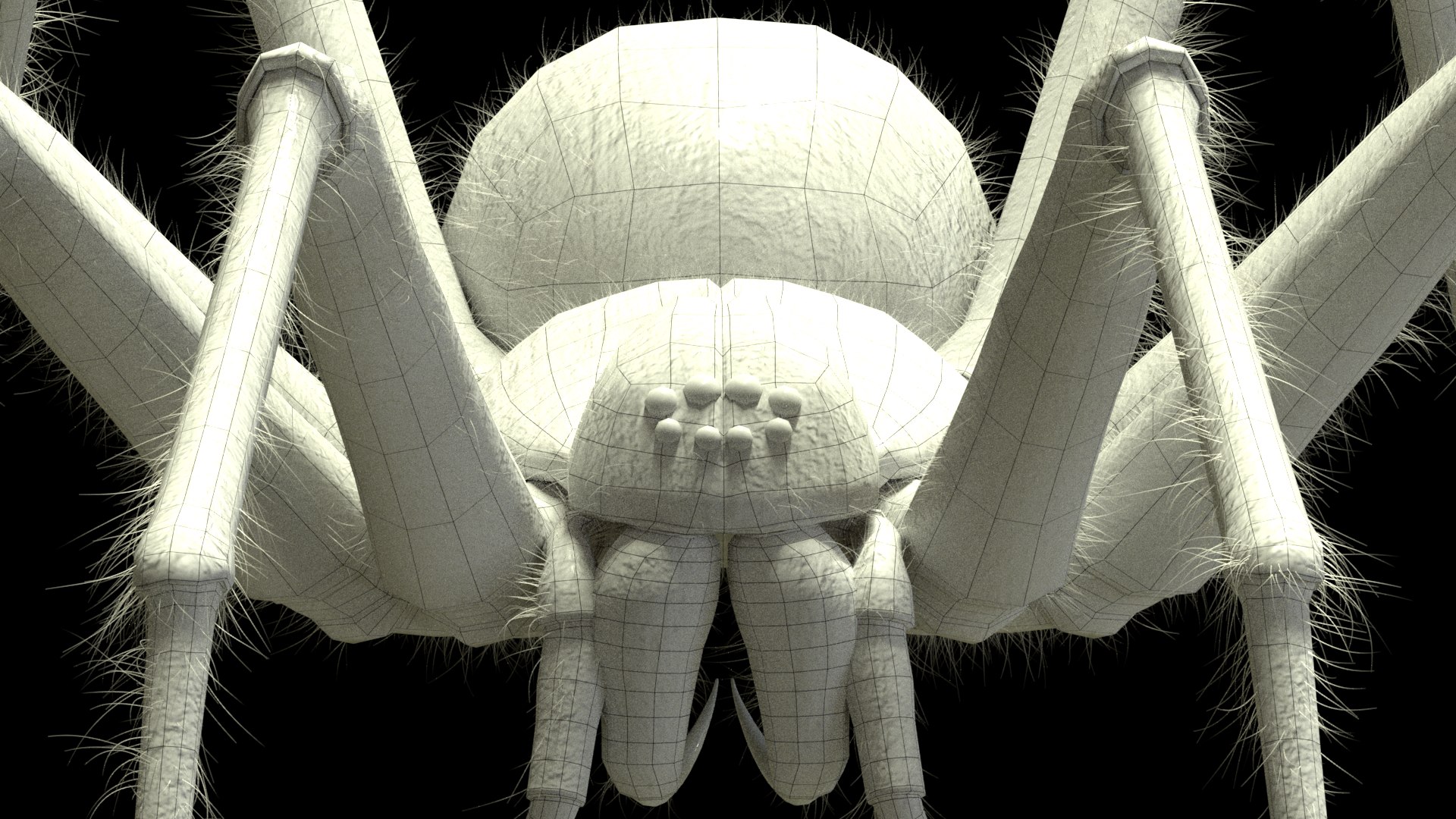 tegenaria domestica 3D model https://p.turbosquid.com/ts-thumb/jl/tkCn0n/Jy9LDWlI/r9/png/1523067248/1920x1080/fit_q87/d94829808d5c4effc5d590cd3b1206915fa0ffd7/r9.jpg
