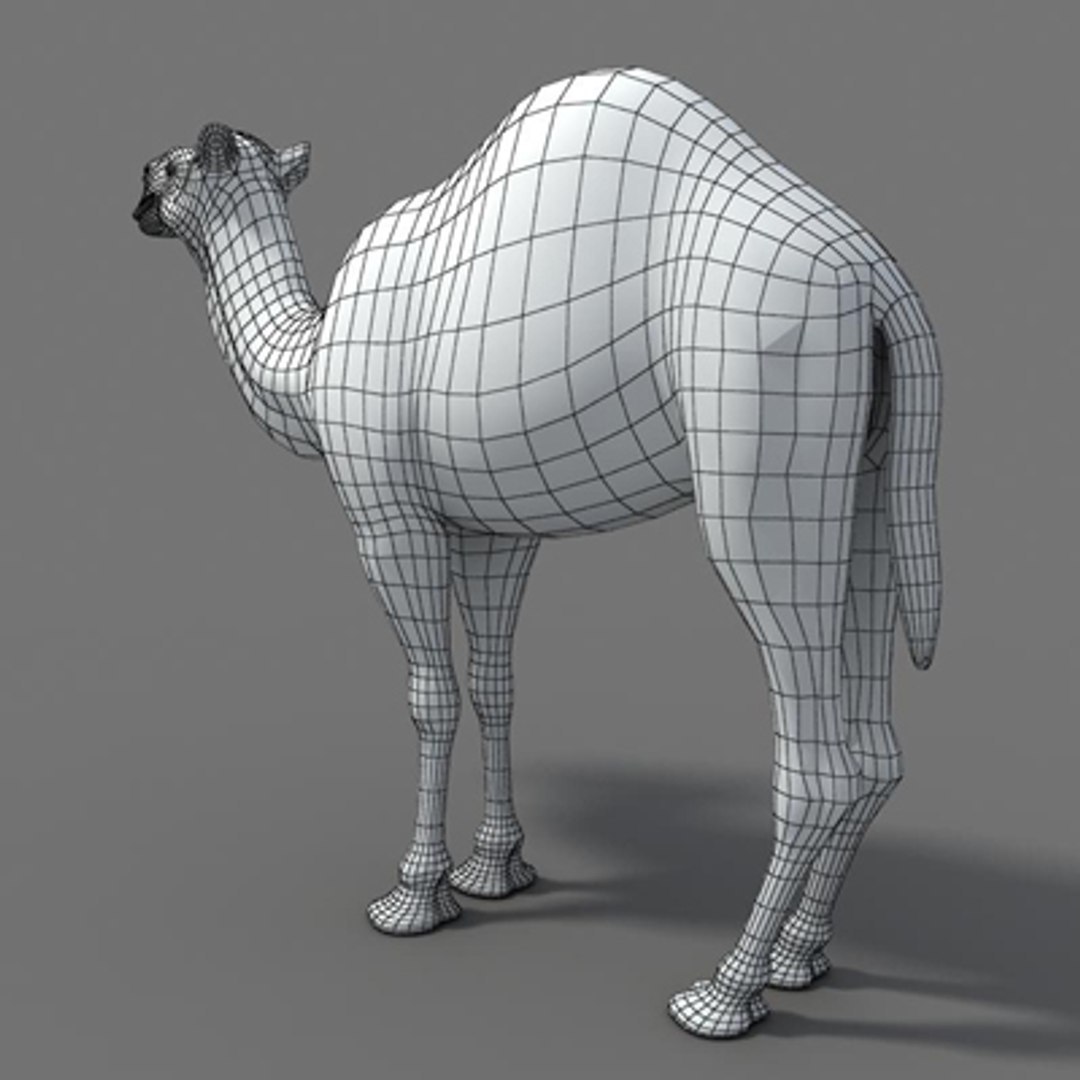 3d model arabian camel hump https://p.turbosquid.com/ts-thumb/jl/uN15y1/RpxEHkgl/arabian_camel_w_03/jpg/1265035545/1920x1080/fit_q87/f321fd8c1b8492c2829b808b44cd677d28969b7f/arabian_camel_w_03.jpg