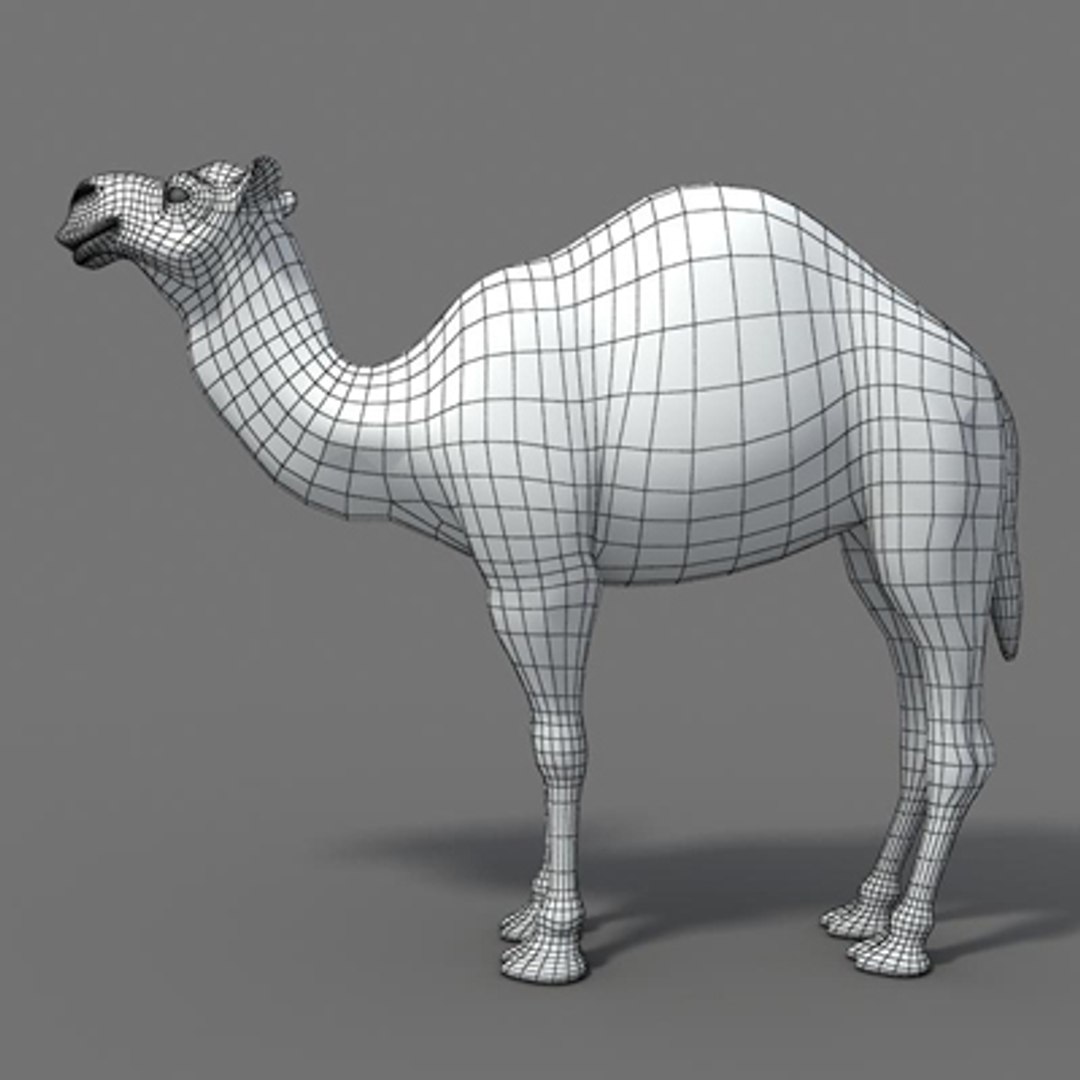 3d model arabian camel hump https://p.turbosquid.com/ts-thumb/jl/uN15y1/XXqKHqJR/arabian_camel_w_02/jpg/1265035715/1920x1080/fit_q87/b41db472bf7697a1a07a52116012c397786813cb/arabian_camel_w_02.jpg