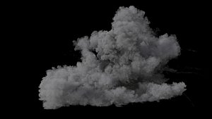 3D Smoke Plume VDB model
