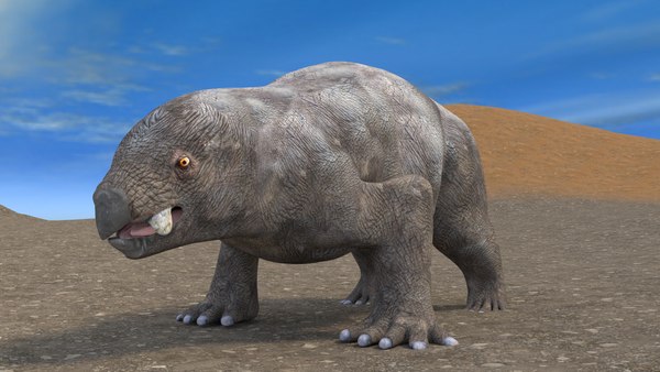 Dicynodonte lisowicia 3D - TurboSquid 1350137