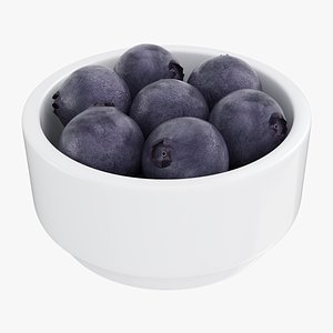 3D Blueberry bowl model