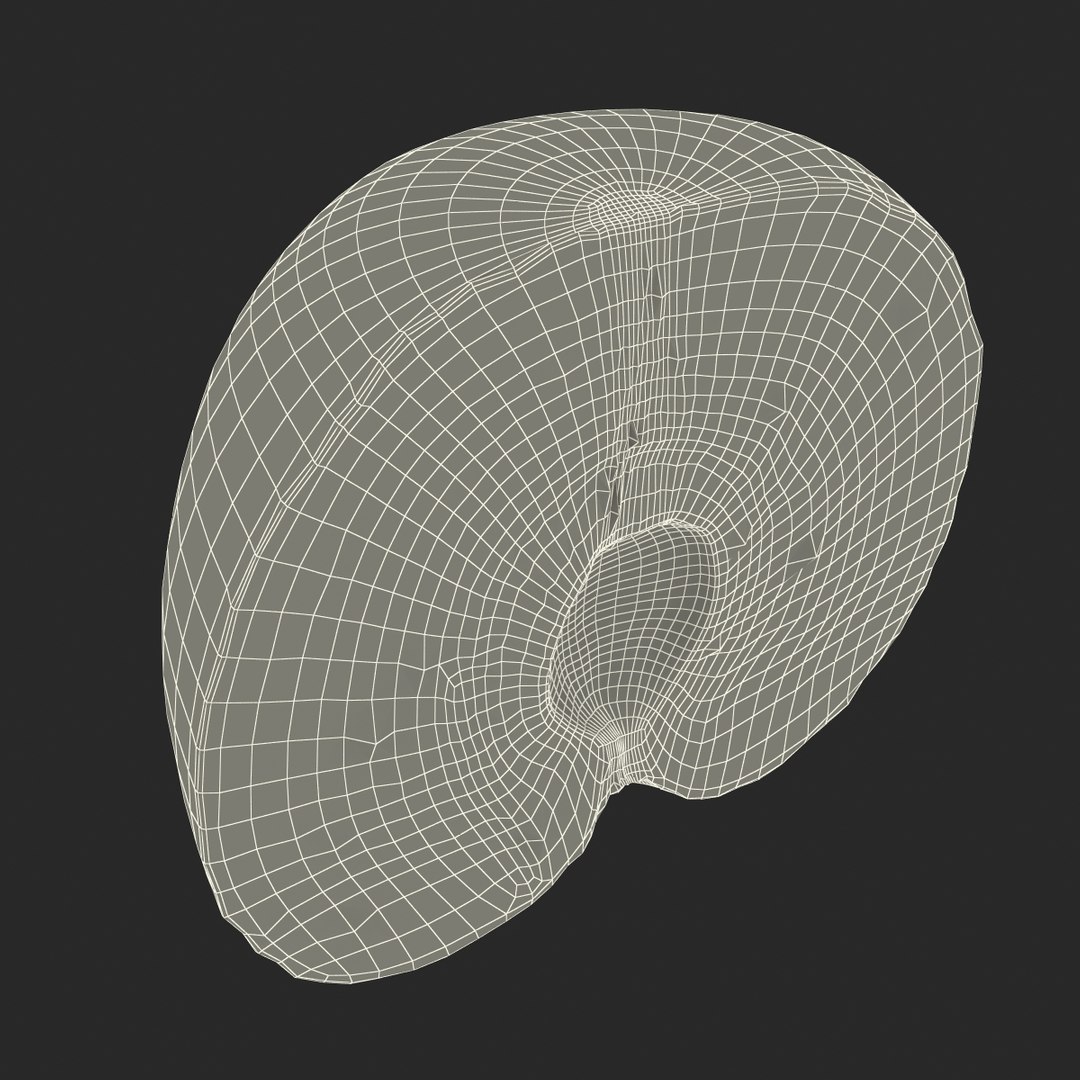plum half modeled 3d model https://p.turbosquid.com/ts-thumb/jm/VjPz59/6Fsaccc5/plumcrosssection3dmodel22/jpg/1435828672/1920x1080/fit_q87/0729f5224c5d411d2e920cdf28a39919efe0ab59/plumcrosssection3dmodel22.jpg