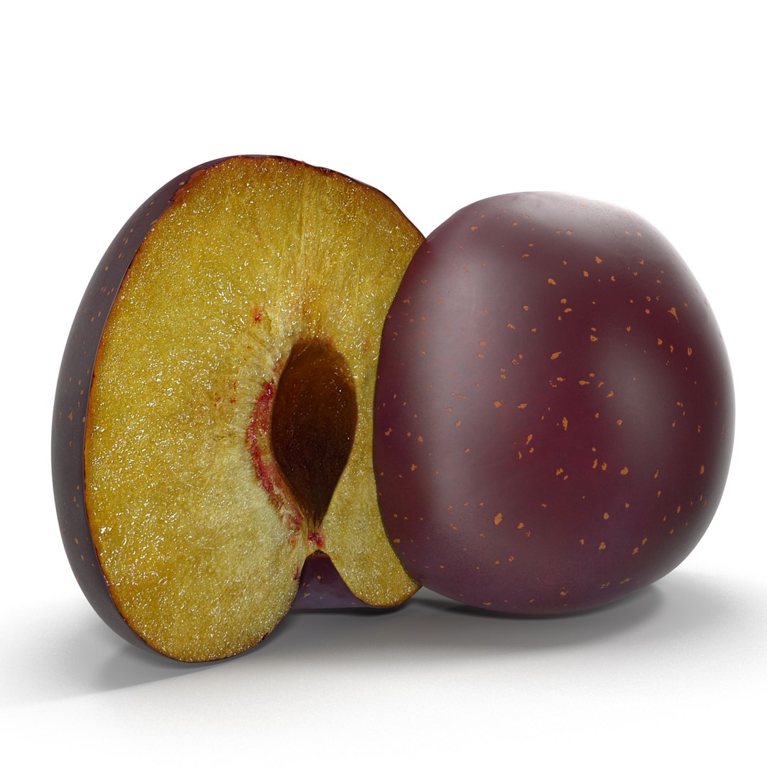 plum half modeled 3d model https://p.turbosquid.com/ts-thumb/jm/VjPz59/BJTYqKdK/plumcrosssection3dmodel05/jpg/1435828671/1920x1080/fit_q87/02733d51da7f9f0b91a9afdd4a008f5563484526/plumcrosssection3dmodel05.jpg