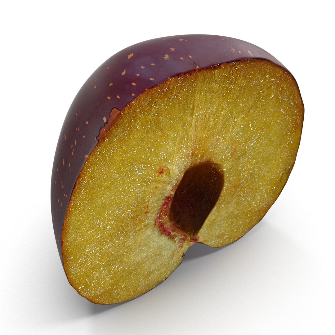 plum half modeled 3d model https://p.turbosquid.com/ts-thumb/jm/VjPz59/PRtNl7Ra/plumcrosssection3dmodel11/jpg/1435828671/1920x1080/fit_q87/4f8193317e5984b020c9dca05bd57186b7f0c22c/plumcrosssection3dmodel11.jpg