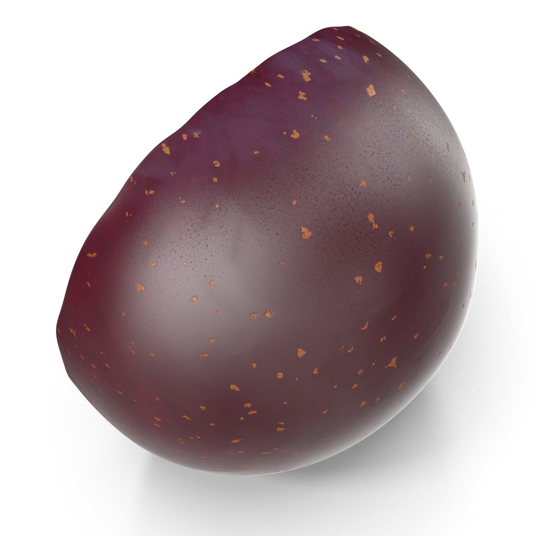 plum half modeled 3d model https://p.turbosquid.com/ts-thumb/jm/VjPz59/YfQxUupK/plumcrosssection3dmodel13/jpg/1435828671/1920x1080/fit_q87/9f0dd4e62e1af6a589590ac7453746042fb81a04/plumcrosssection3dmodel13.jpg