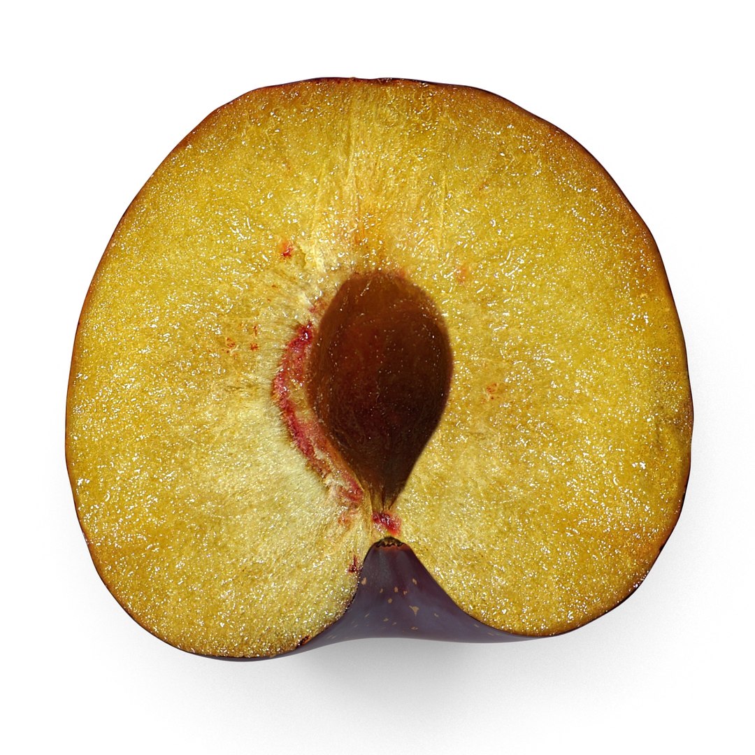 plum half modeled 3d model https://p.turbosquid.com/ts-thumb/jm/VjPz59/moTFMYU6/plumcrosssection3dmodel09/jpg/1435828671/1920x1080/fit_q87/8a43e97c07a4ed9daf8b94a2879f4dffe6f97f71/plumcrosssection3dmodel09.jpg