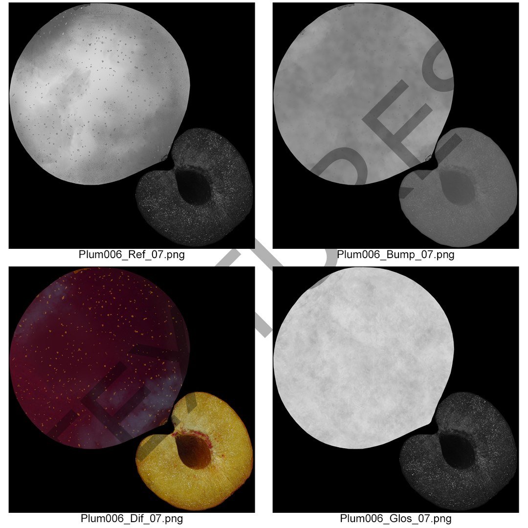 plum half modeled 3d model https://p.turbosquid.com/ts-thumb/jm/VjPz59/oc5HVq7S/plumcrosssection3dmodel17/jpg/1435828672/1920x1080/fit_q87/4faf1c7c5b9d72f659b7c7fd2b0e91445696f446/plumcrosssection3dmodel17.jpg
