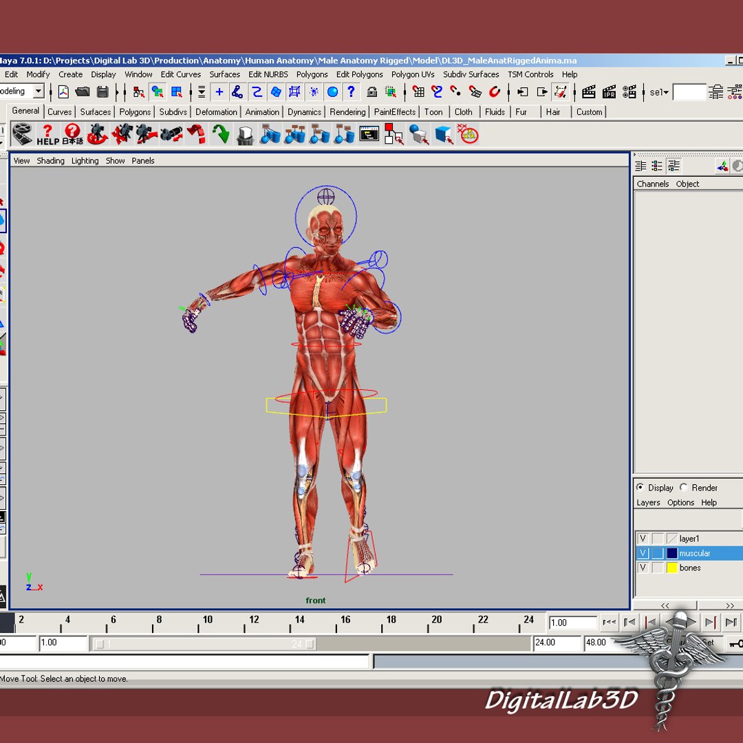 rigged - human male 3d model https://p.turbosquid.com/ts-thumb/jm/xuPeo1/ChS03Nu7/malerigged_4/jpg/1277891147/1920x1080/fit_q87/68f22cdcd36c022d5cebf473d178dd56c0488941/malerigged_4.jpg