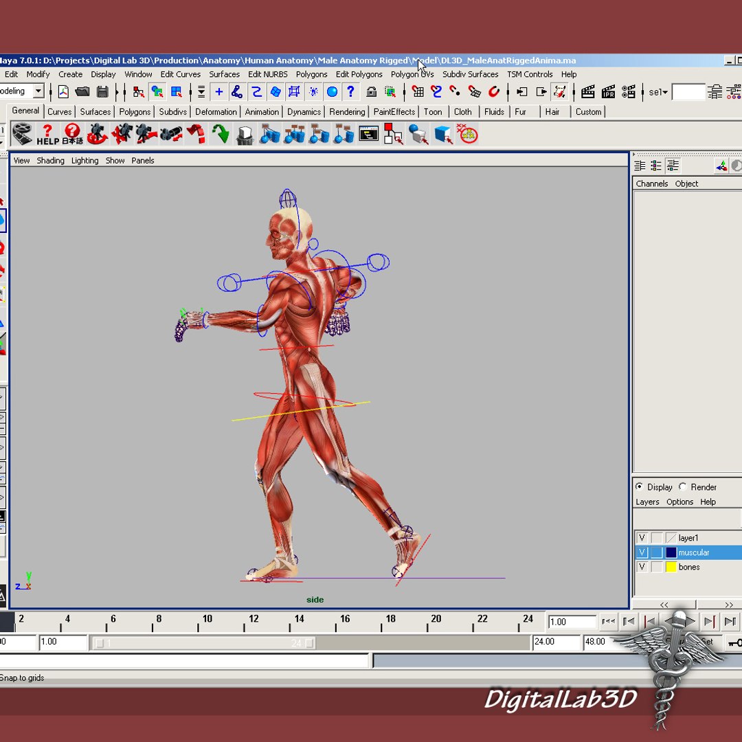 rigged - human male 3d model https://p.turbosquid.com/ts-thumb/jm/xuPeo1/GwFsTi0F/malerigged_6/jpg/1277891147/1920x1080/fit_q87/9a55db8b3dc73c8693aba8b4dd413fe111416bad/malerigged_6.jpg