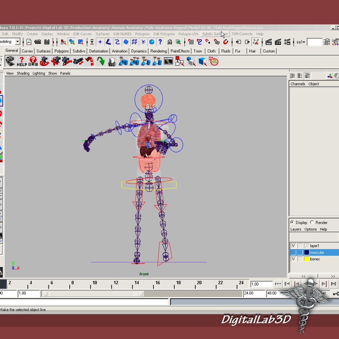rigged - human male 3d model https://p.turbosquid.com/ts-thumb/jm/xuPeo1/Mu9umASN/malerigged_5/jpg/1277891147/1920x1080/fit_q87/b468735b0d3f11dd07705389134e3b0e6545aae6/malerigged_5.jpg