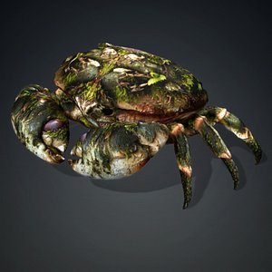 Crab Monster-V1a