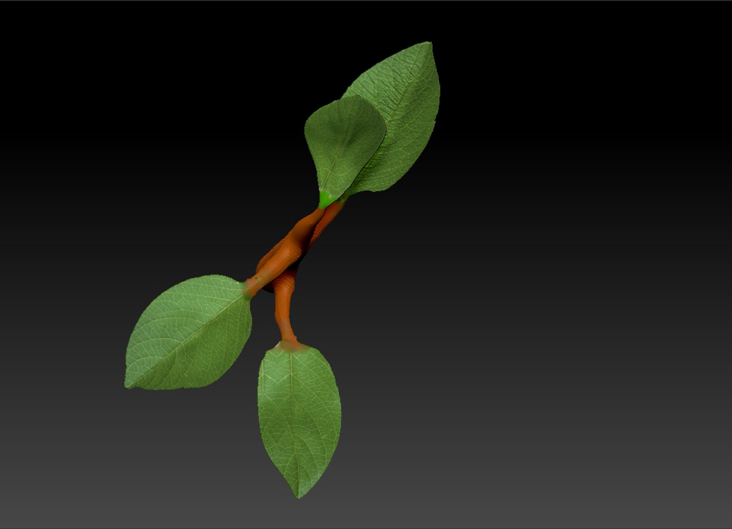 plant work 3D model https://p.turbosquid.com/ts-thumb/jn/916wqS/b0LRrB71/plant2.bmp79ee9204b36a427980d25d7acae1888adefaulthq/jpg/1589189364/1920x1080/fit_q87/c48083e082f30ea18944ecd8b82399c4802037df/plant2.bmp79ee9204b36a427980d25d7acae1888adefaulthq.jpg