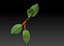 Plant for work
