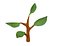 Plant for work