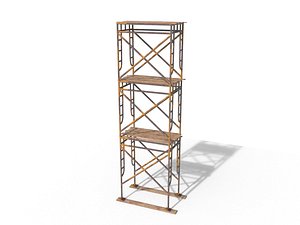 scaffold 3D